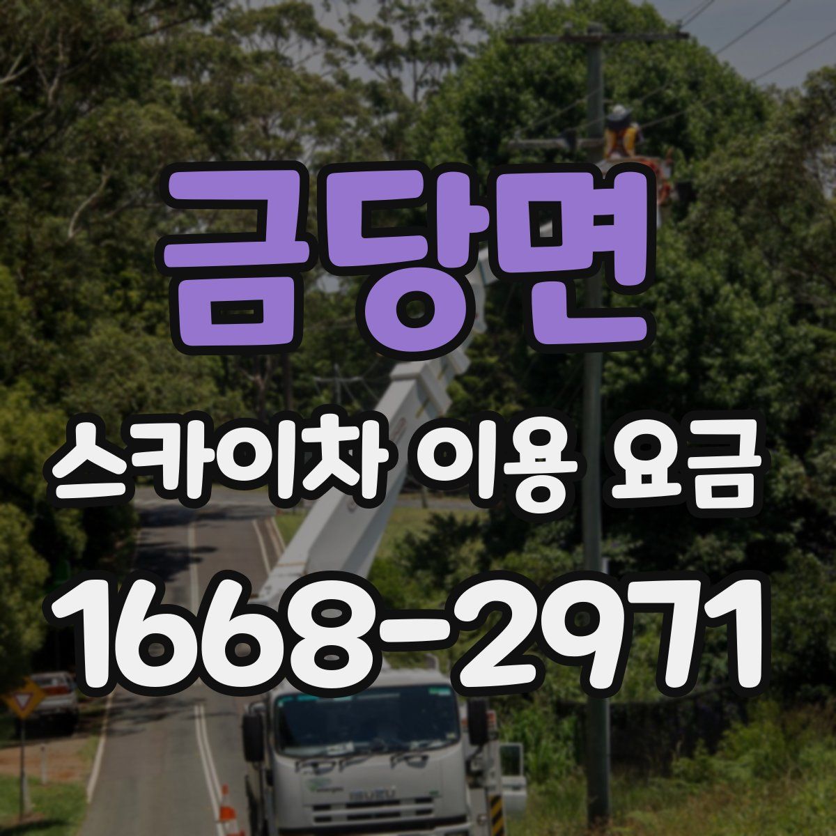 금당면 스카이차 이용 요금