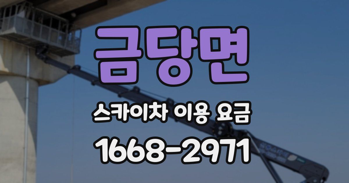 금당면 스카이차 이용 요금