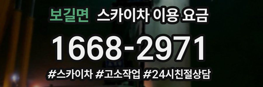 보길면 스카이차 이용 요금