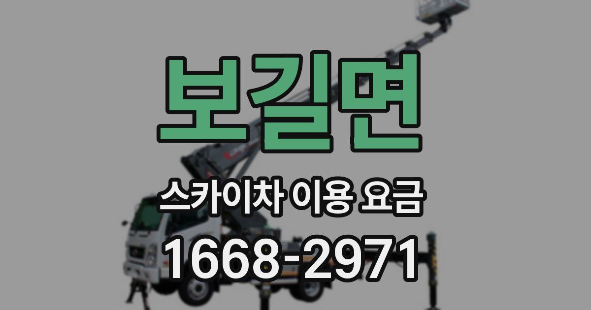 보길면 스카이차 이용 요금