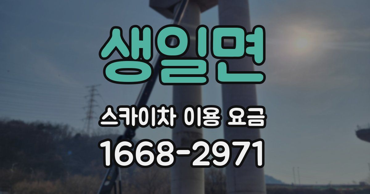 생일면 스카이차 이용 요금