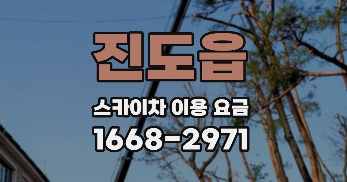 진도읍 스카이차 이용 요금