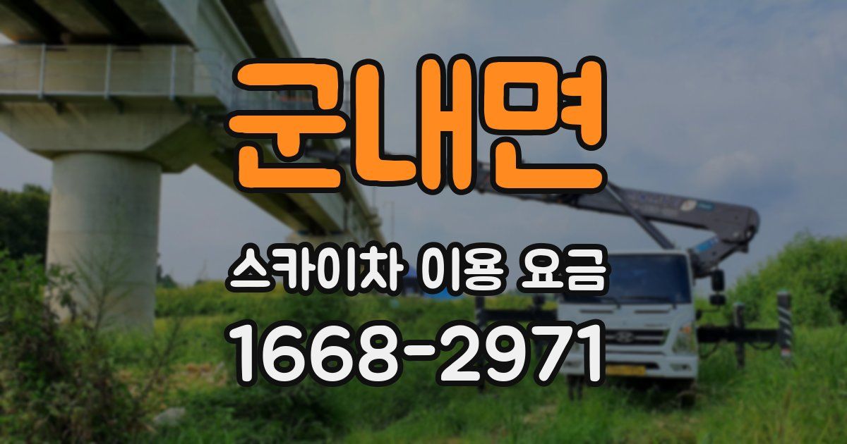 군내면 스카이차 이용 요금