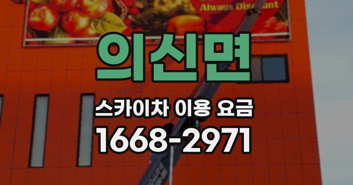 의신면 스카이차 이용 요금