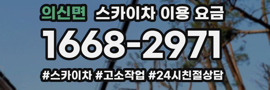 의신면 스카이차 이용 요금