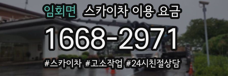 임회면 스카이차 이용 요금