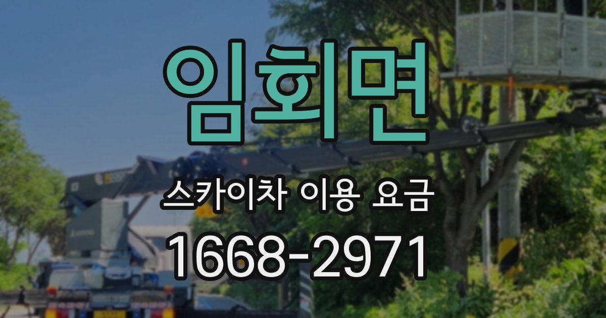 임회면 스카이차 이용 요금