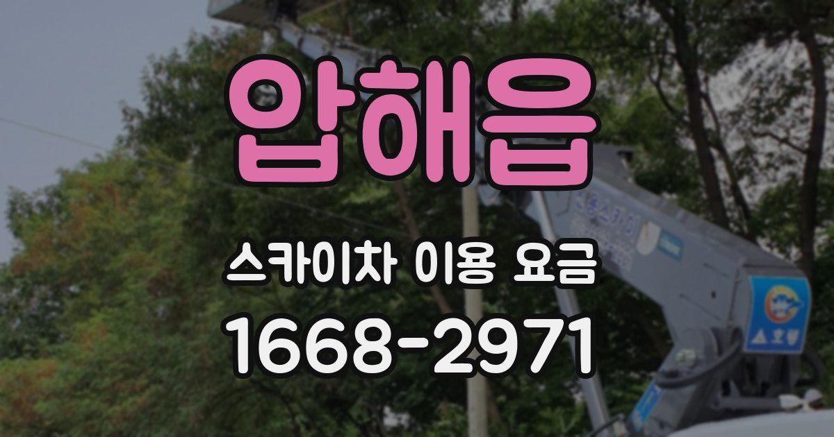 압해읍 스카이차 이용 요금