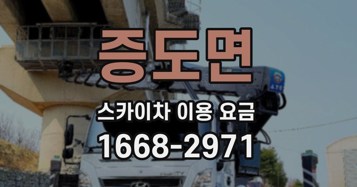 증도면 스카이차 이용 요금