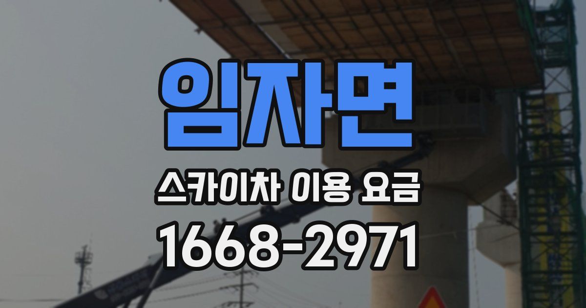 임자면 스카이차 이용 요금
