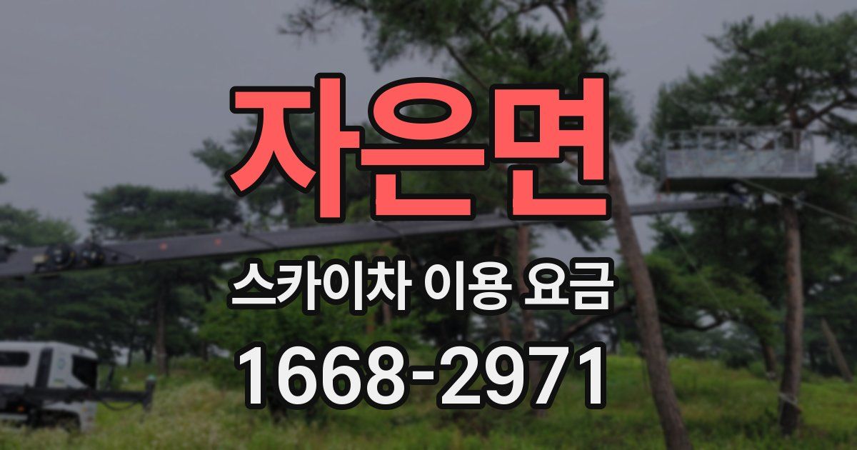 자은면 스카이차 이용 요금