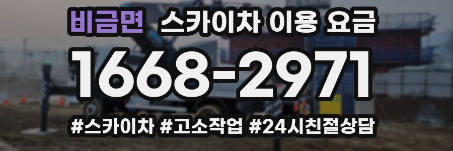 비금면 스카이차 이용 요금