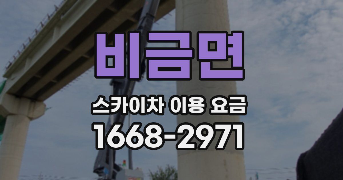 비금면 스카이차 이용 요금