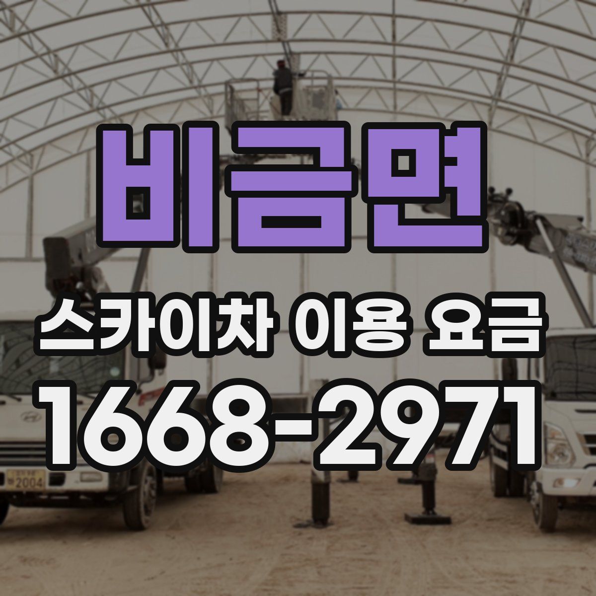 비금면 스카이차 이용 요금