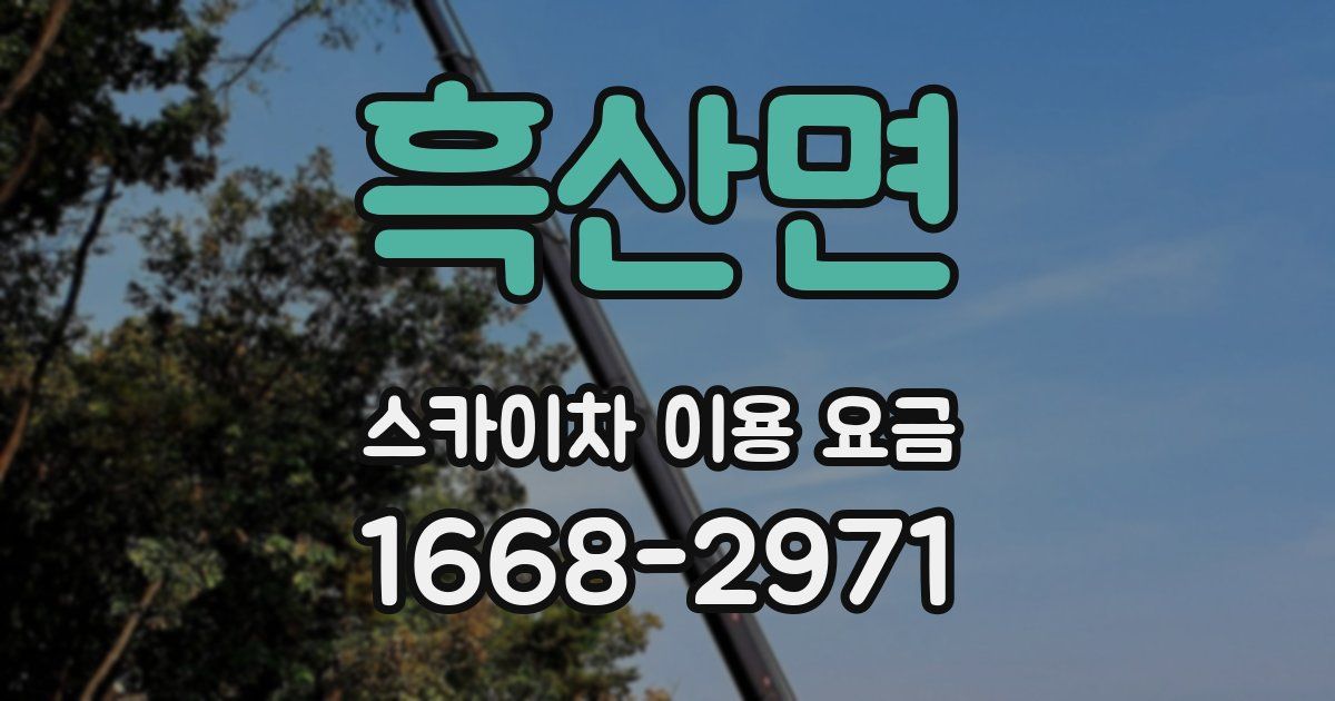 흑산면 스카이차 이용 요금