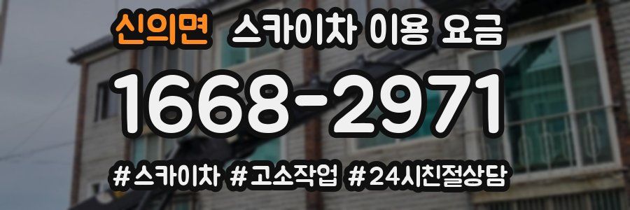 신의면 스카이차 이용 요금