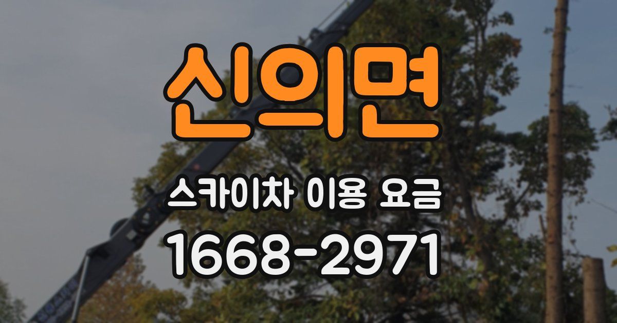 신의면 스카이차 이용 요금