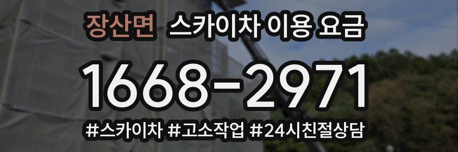 장산면 스카이차 이용 요금