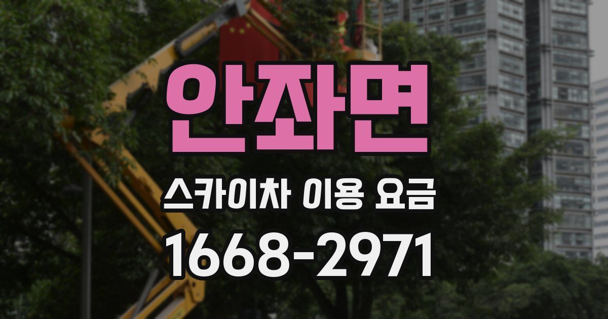 안좌면 스카이차 이용 요금