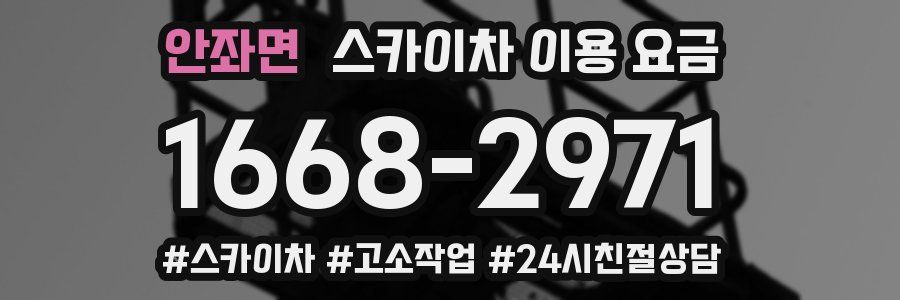 안좌면 스카이차 이용 요금