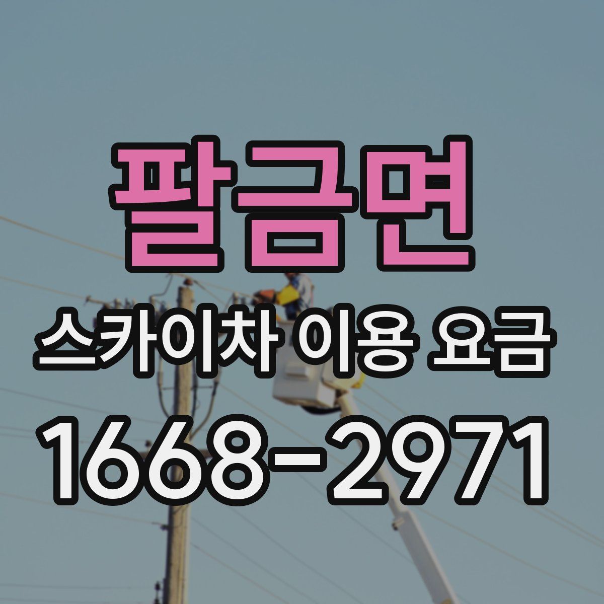 팔금면 스카이차 이용 요금