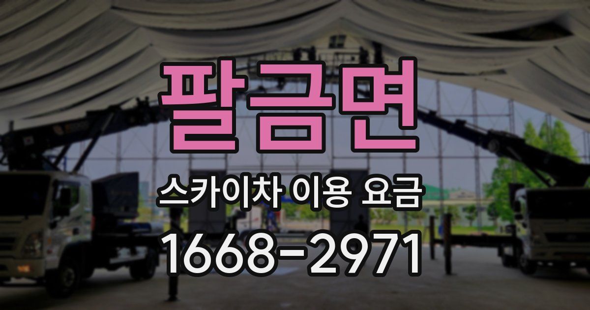 팔금면 스카이차 이용 요금
