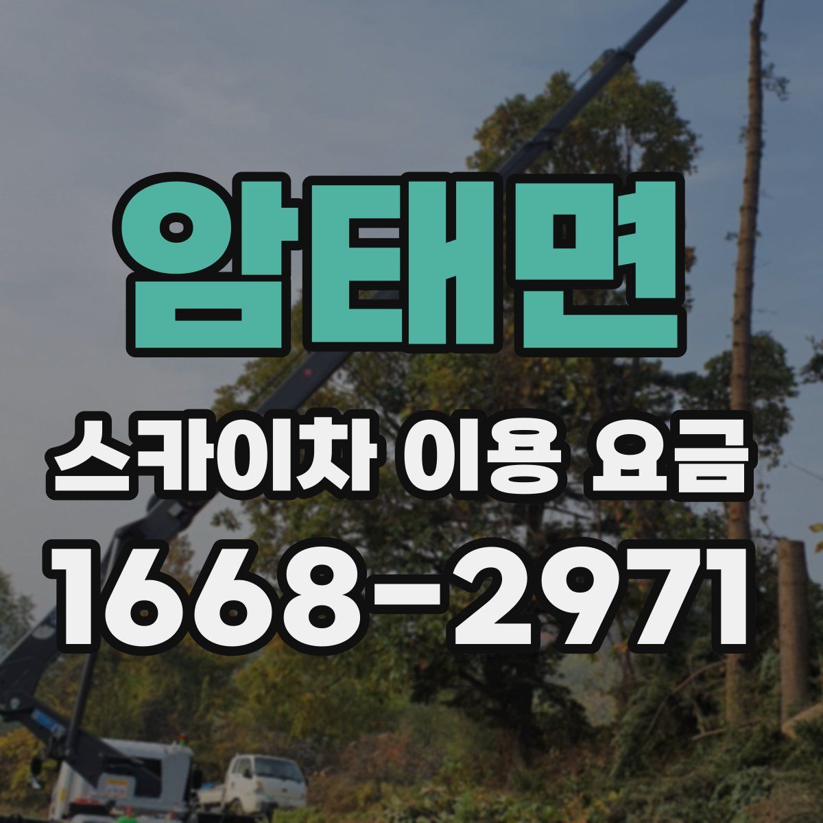 암태면 스카이차 이용 요금