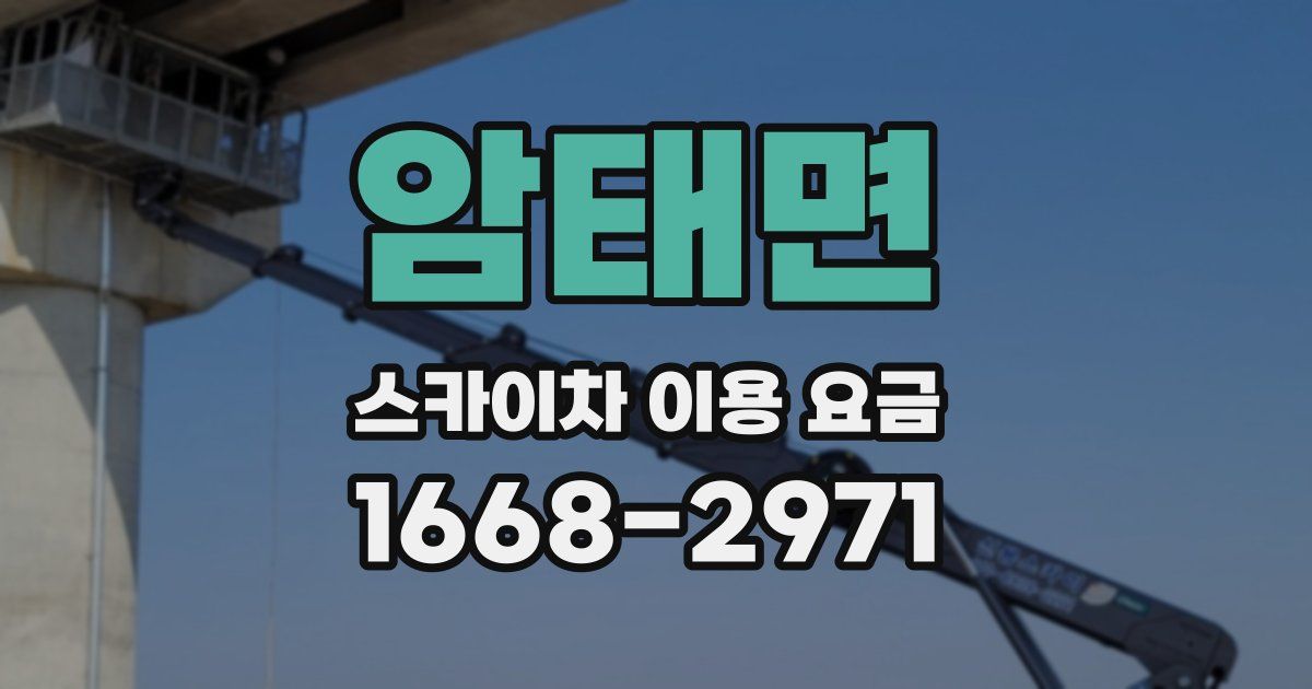 암태면 스카이차 이용 요금