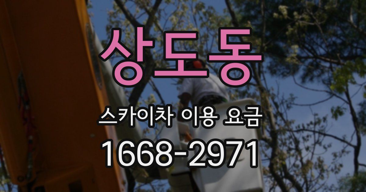 상도동 스카이차 이용 요금
