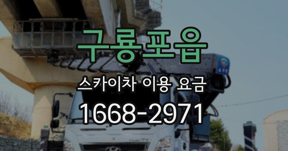 구룡포읍 스카이차 이용 요금