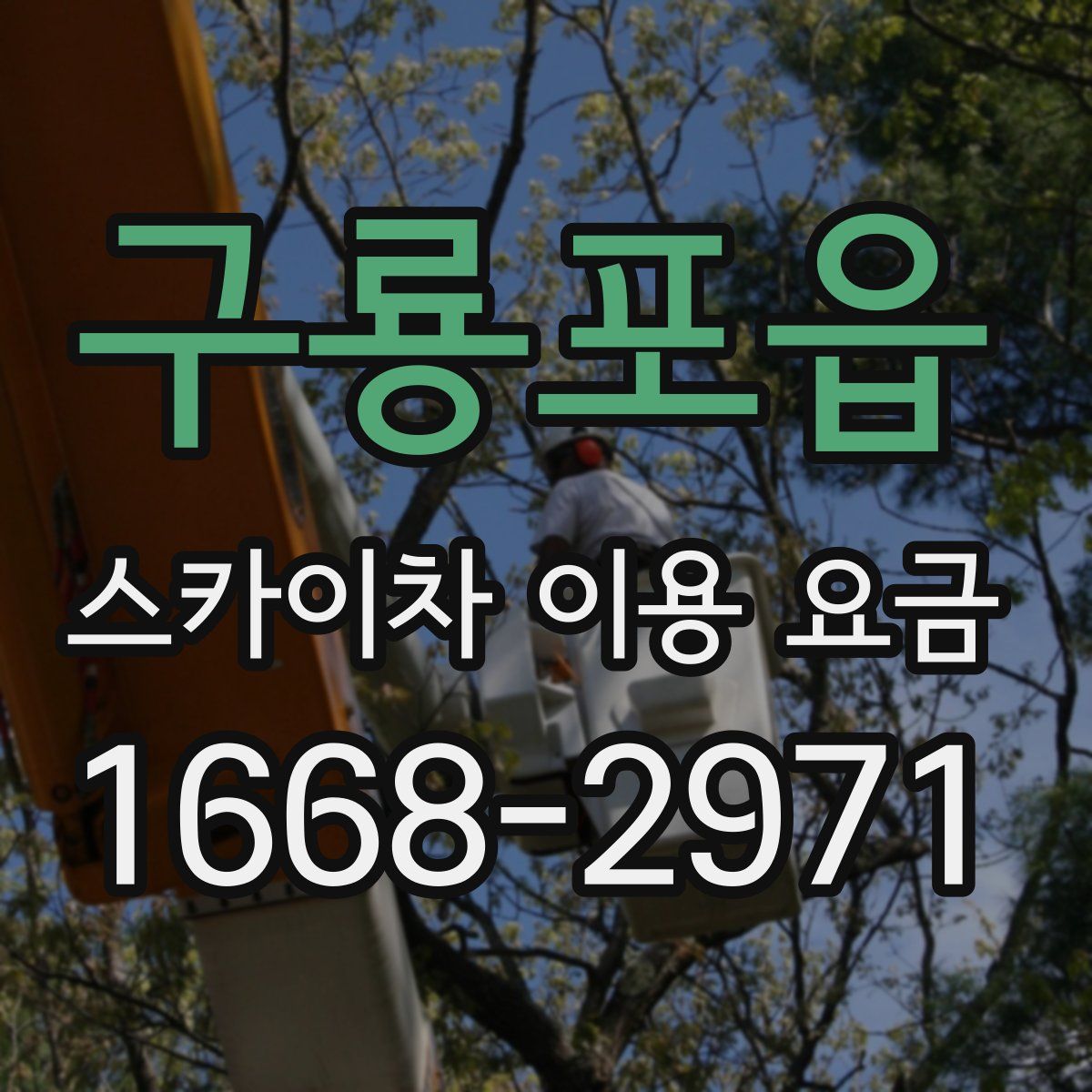 구룡포읍 스카이차 이용 요금
