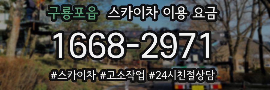 구룡포읍 스카이차 이용 요금