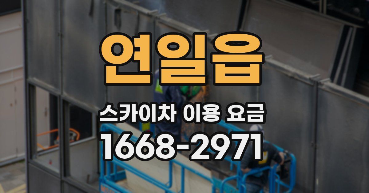 연일읍 스카이차 이용 요금