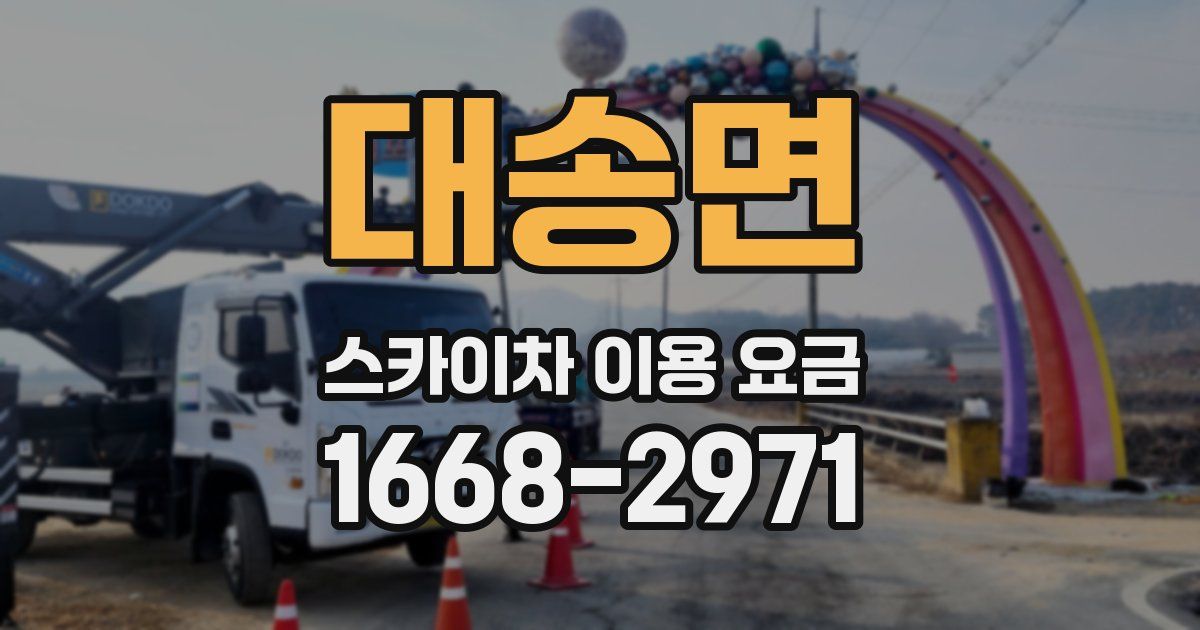 대송면 스카이차 이용 요금