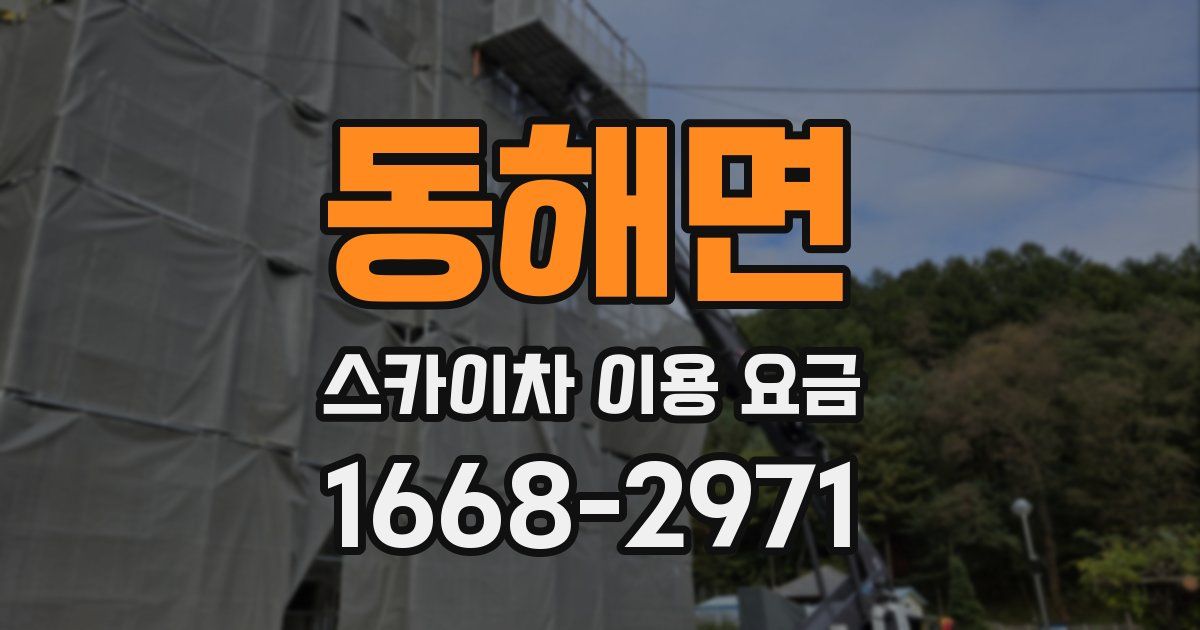 동해면 스카이차 이용 요금