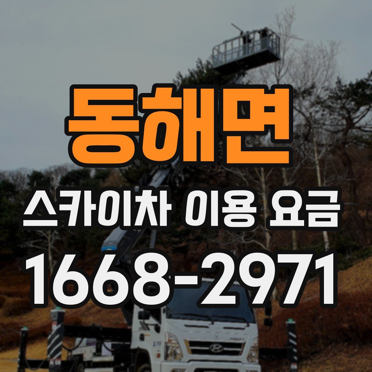 동해면 스카이차 이용 요금