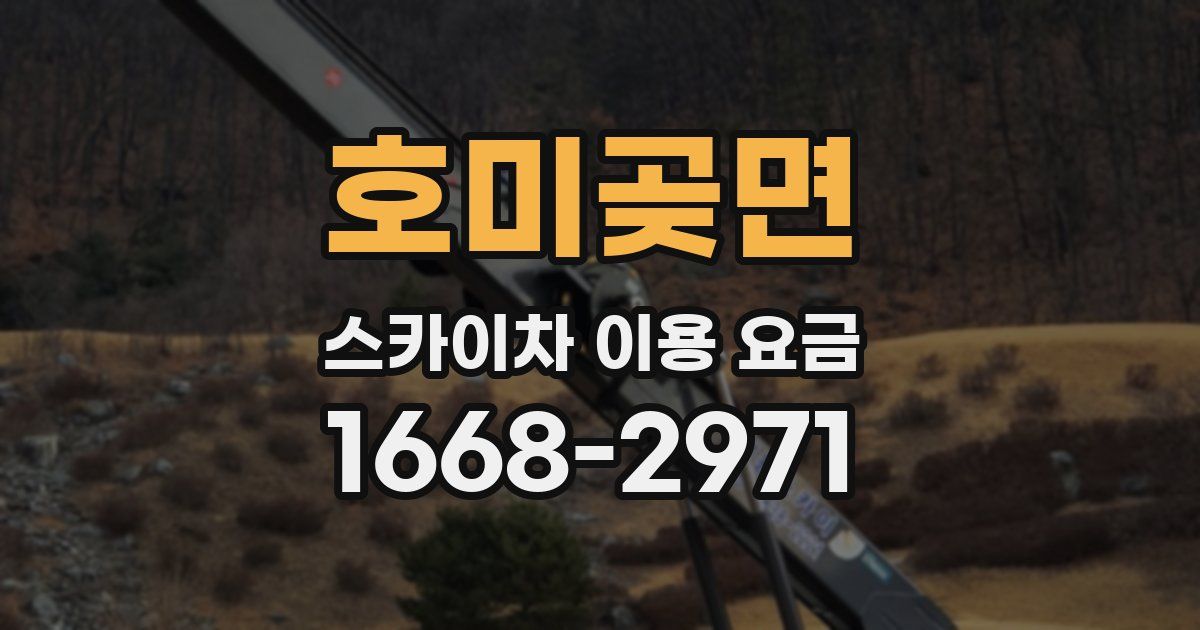 호미곶면 스카이차 이용 요금
