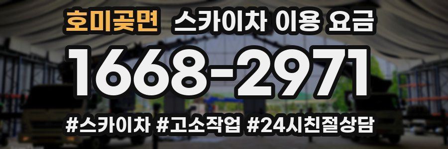 호미곶면 스카이차 이용 요금