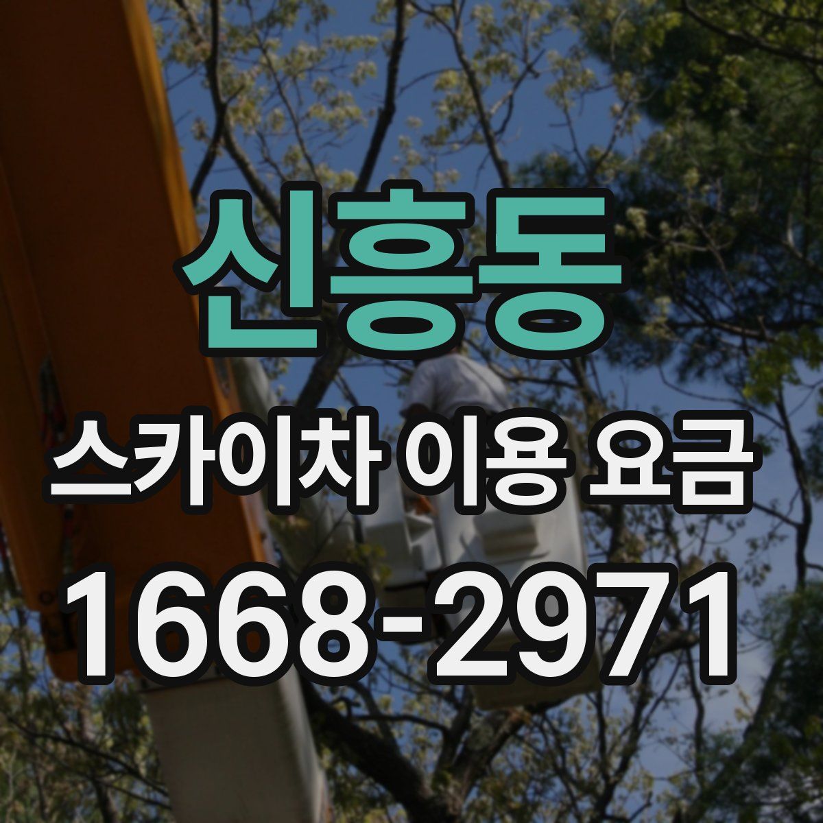 신흥동 스카이차 이용 요금