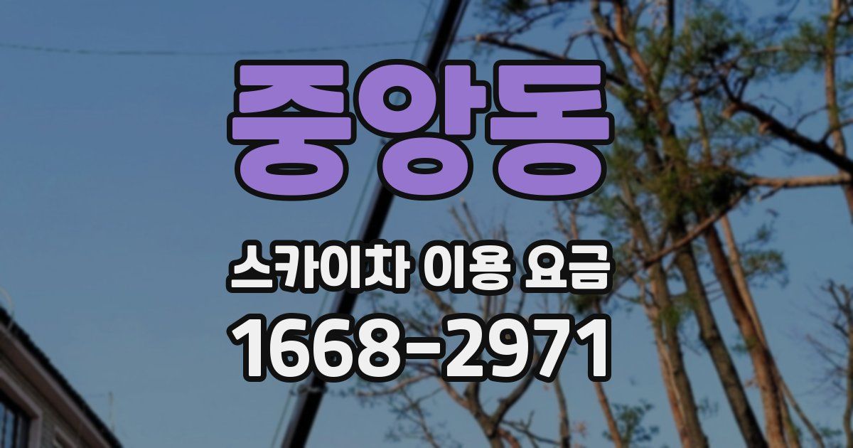 중앙동 스카이차 이용 요금