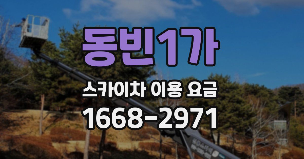 동빈1가 스카이차 이용 요금