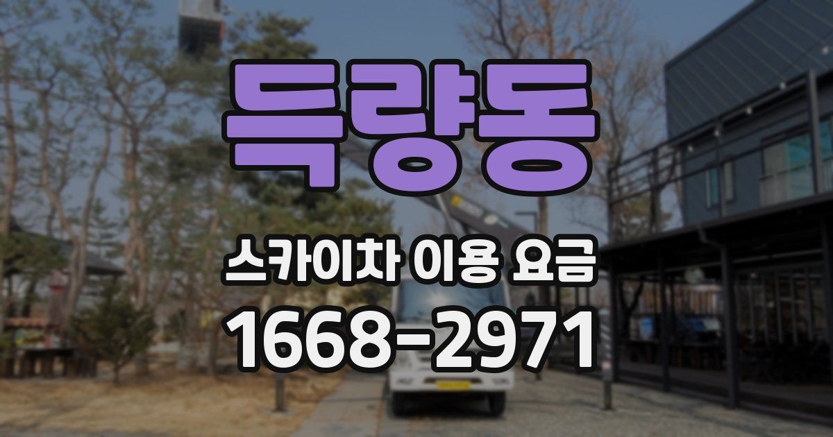 득량동 스카이차 이용 요금