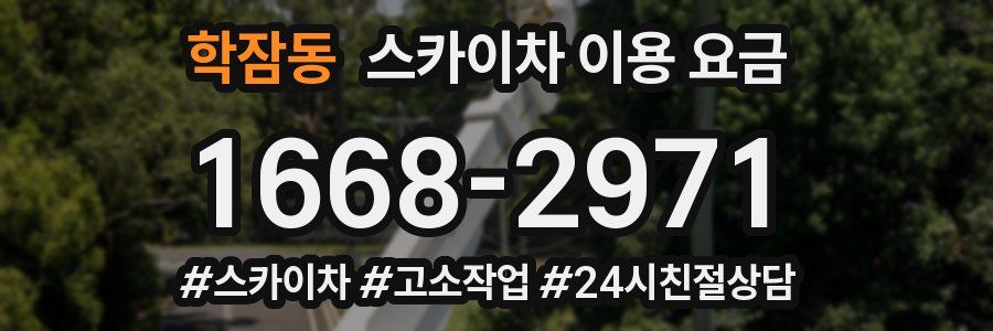 학잠동 스카이차 이용 요금
