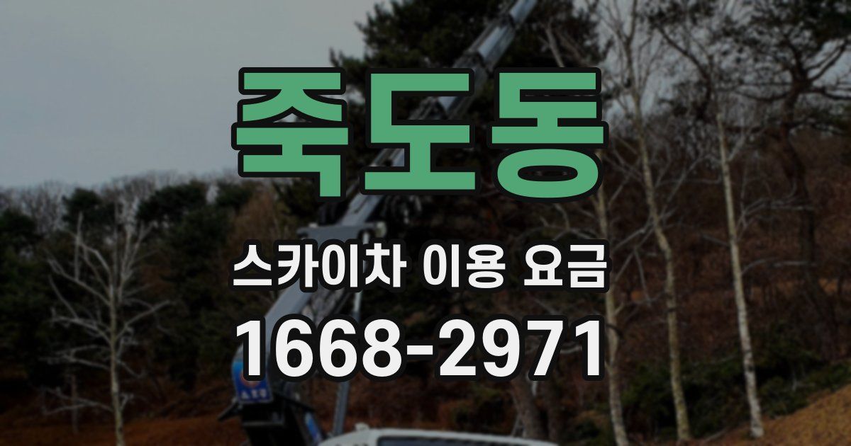죽도동 스카이차 이용 요금