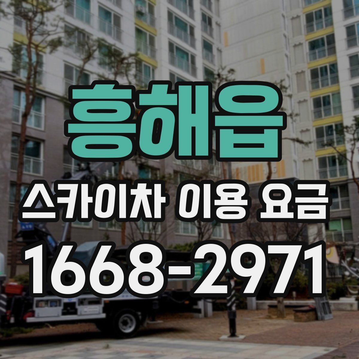 흥해읍 스카이차 이용 요금 비교 전 체크해야 할 항목