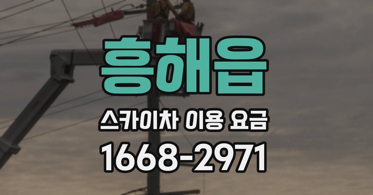 흥해읍 스카이차 이용 요금