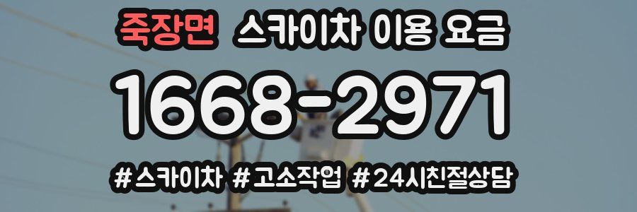 죽장면 스카이차 이용 요금
