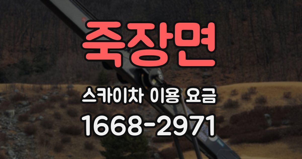 죽장면 스카이차 이용 요금
