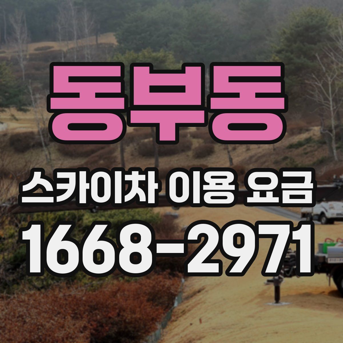 동부동 스카이차 이용 요금