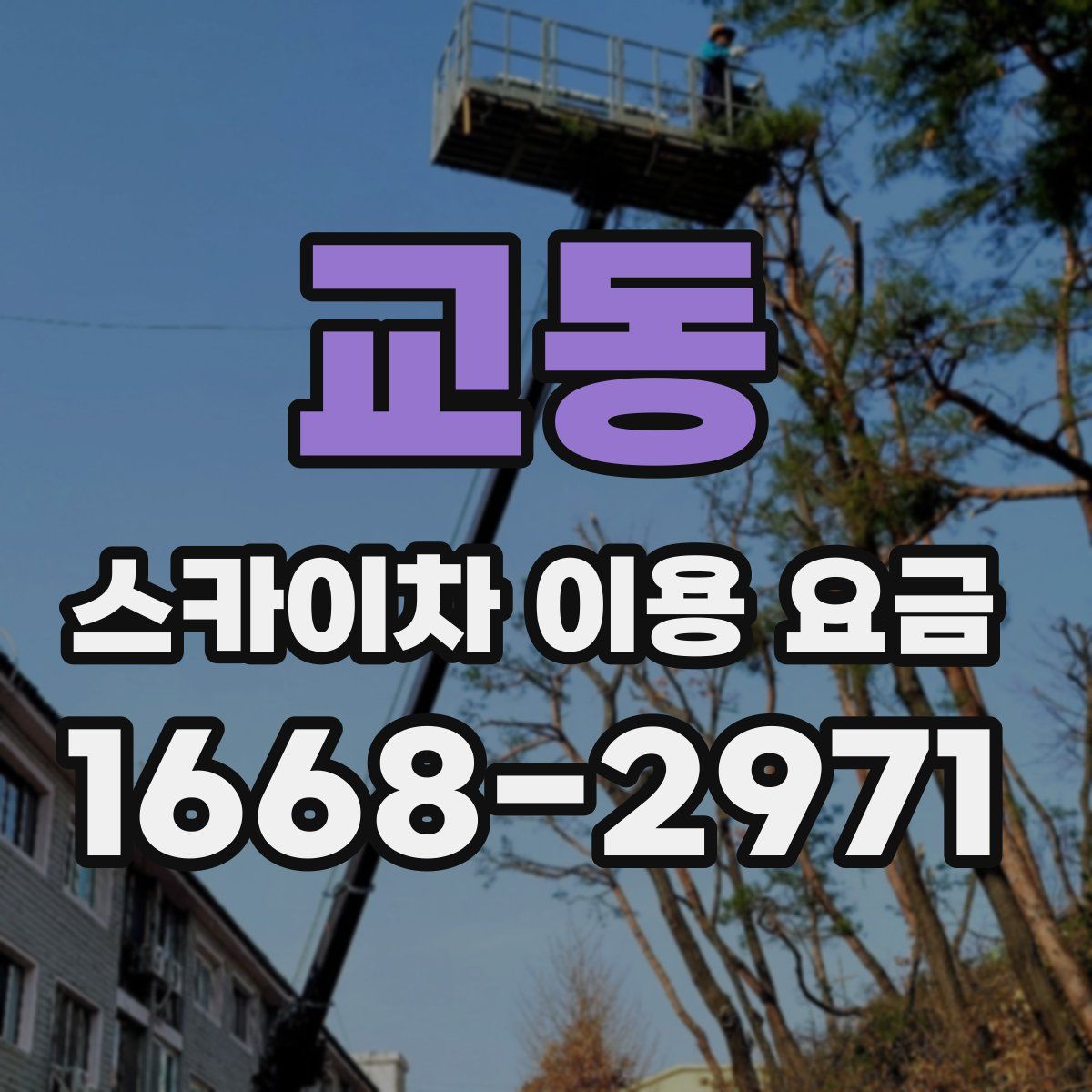 교동 스카이차 이용 요금